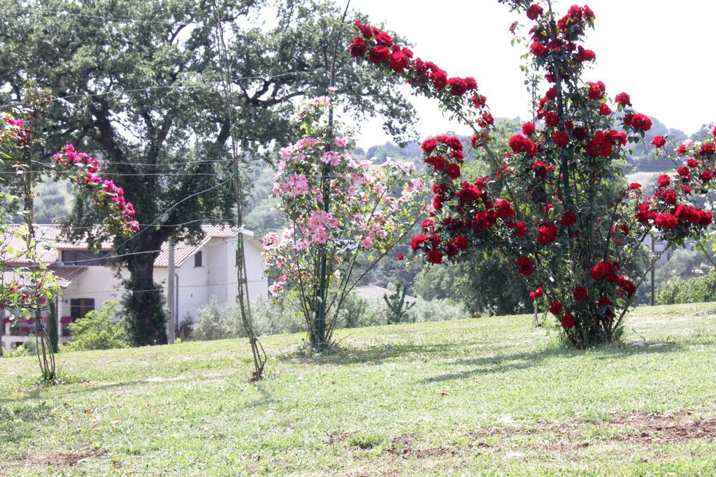 Agriturismo Nociquerceto Tarano Buitenkant foto